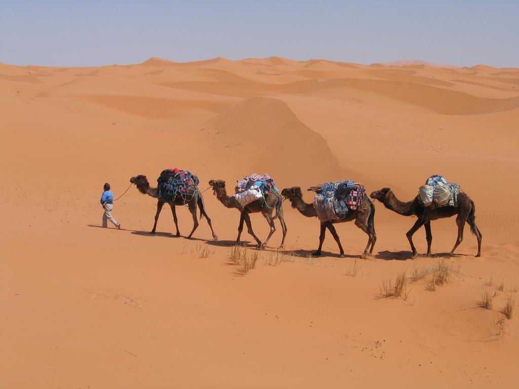 Hotel Camel Trek Bivouac à Merzouga Chambre photo
