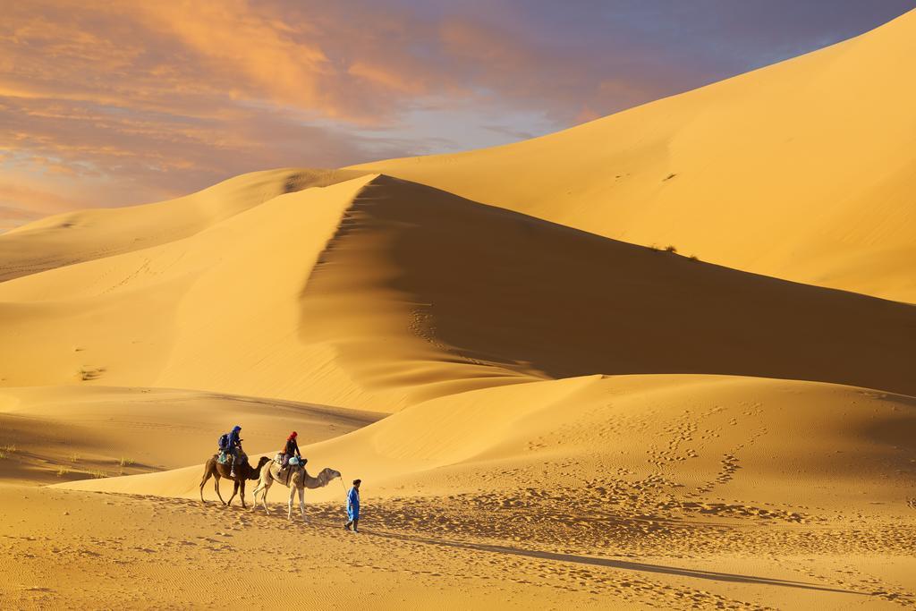 Hotel Camel Trek Bivouac à Merzouga Chambre photo